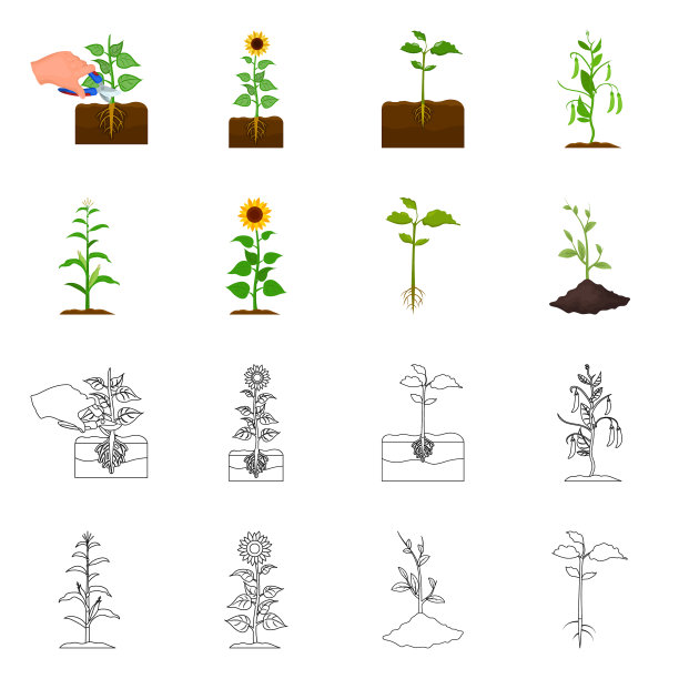 孤立的对象植物和豆的标志收集图片下载