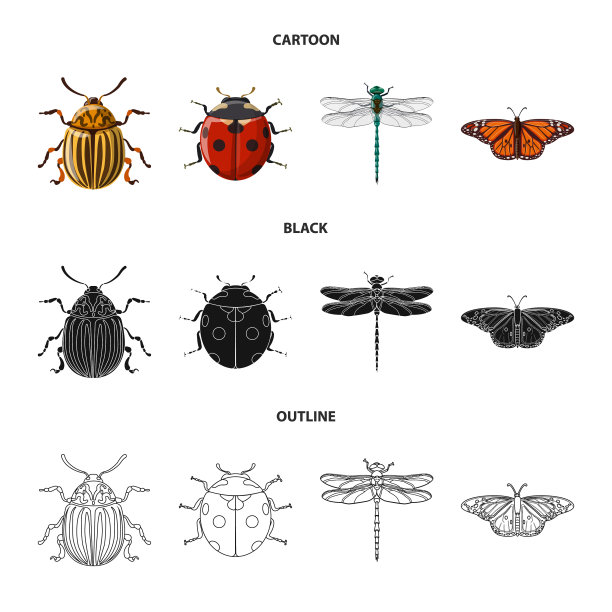 孤立的物体昆虫和苍蝇的图标集图片下载