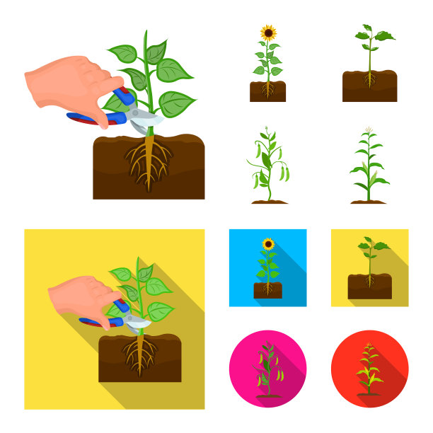 设计工厂和豆标志设置工厂图片下载