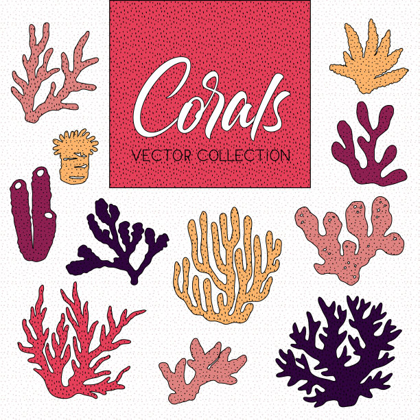 把孤立的彩色珊瑚和藻类放在一个图片下载