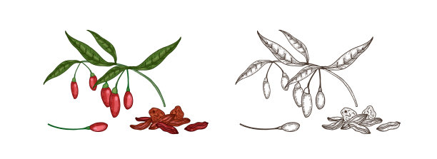 捆绑彩色和单色的图纸图片下载