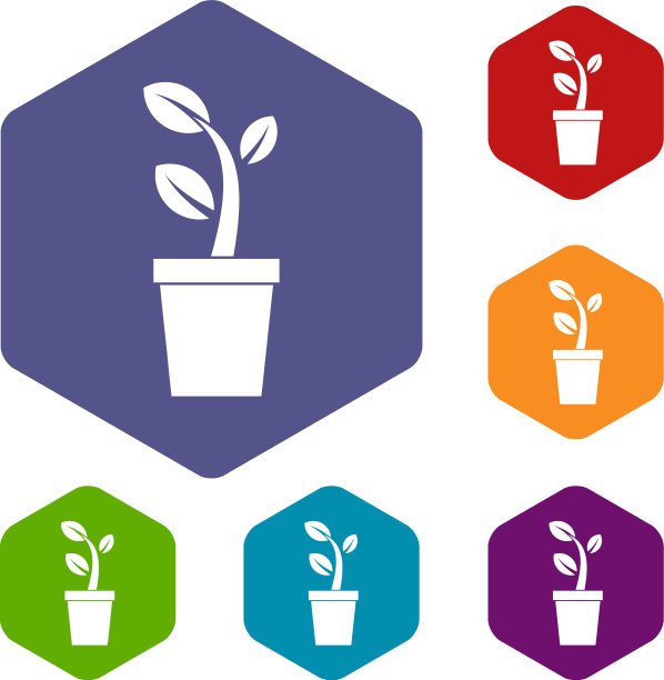 在花盆中发芽图标集图片下载