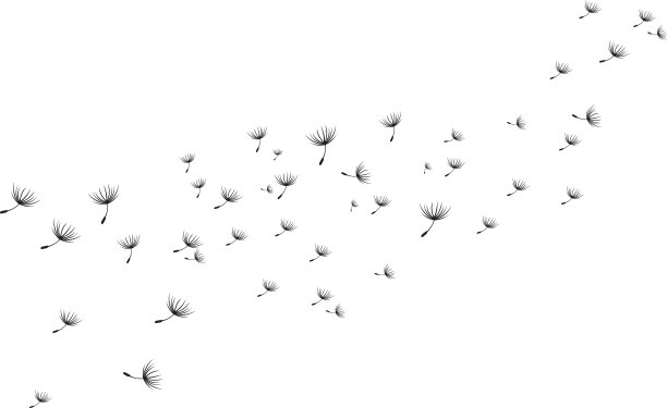 蒲公英的设计图片下载