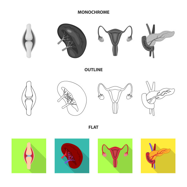 设计生物学和科学图标集图片下载