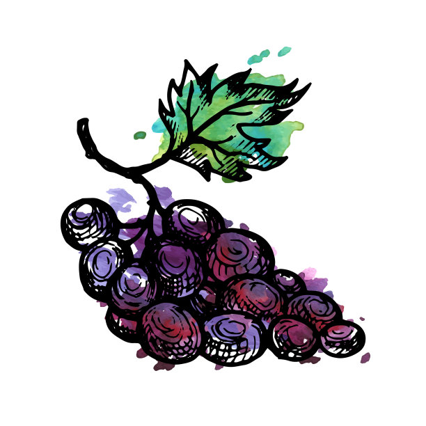 油墨画葡萄图片下载