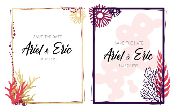 框架与彩色珊瑚在白色的背景图片下载