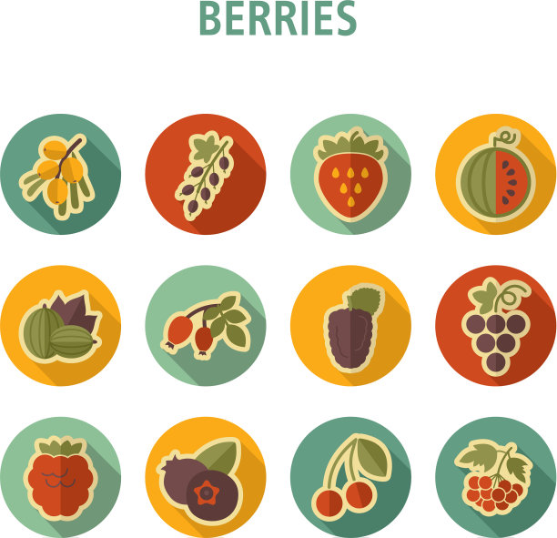 新鲜浆果图标套装图片下载