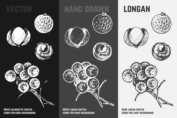 手绘龙眼图标图片下载