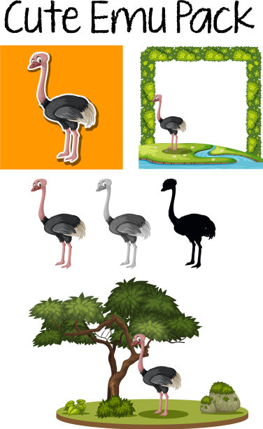 装可爱的鸸鹋图片下载