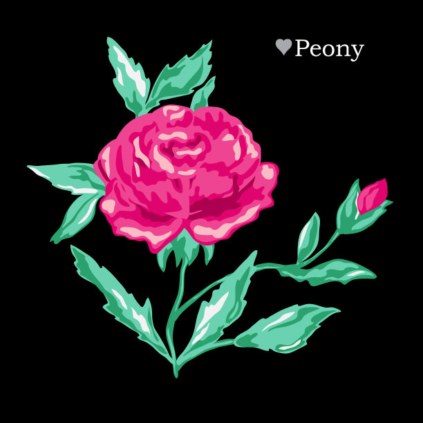 手绘花卉装饰图片下载