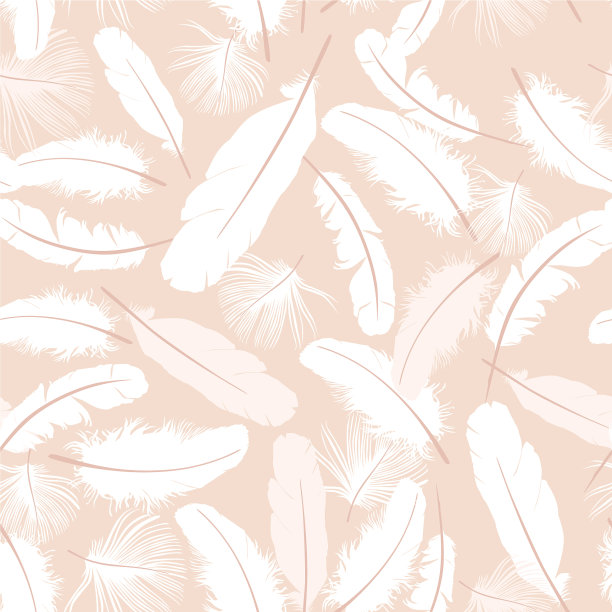 羽毛图案鸟类羽毛在米色背景图片下载