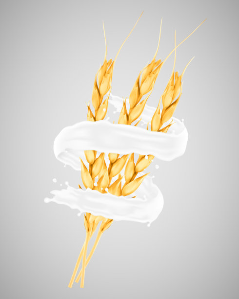 小麦和牛奶喷溅图片下载