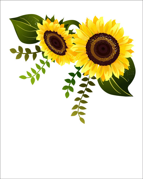 花卉及花卉装饰品图片下载