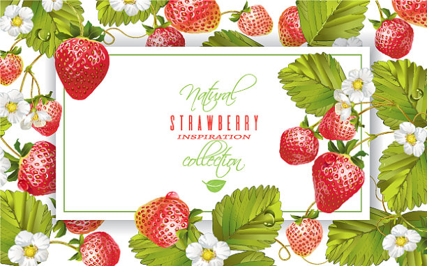 草莓水平横幅图片下载