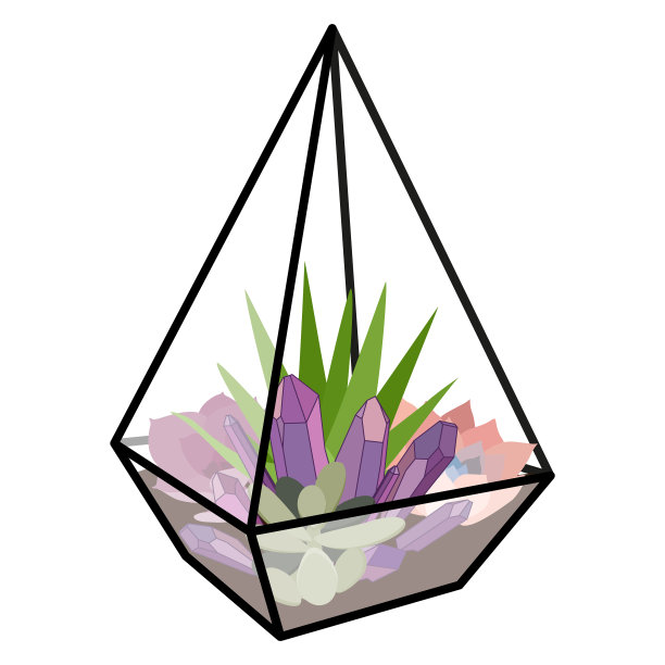 用玻璃florarium图片下载