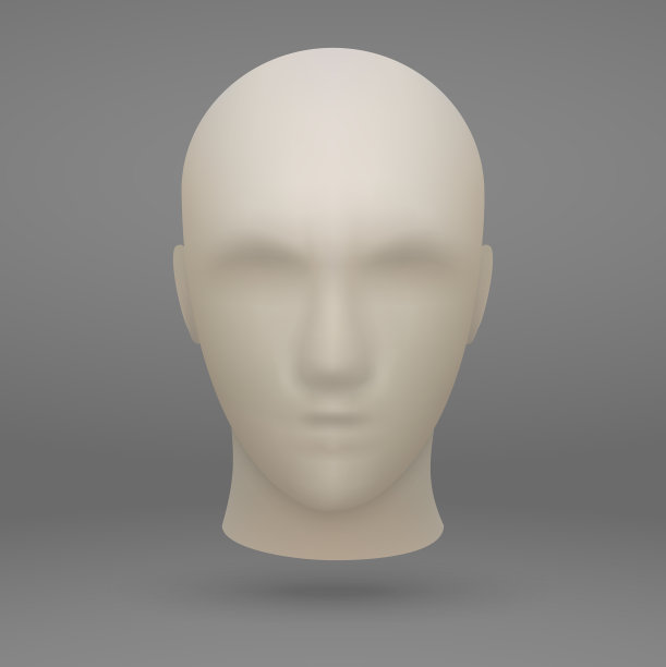 三维人体模型的头图片下载