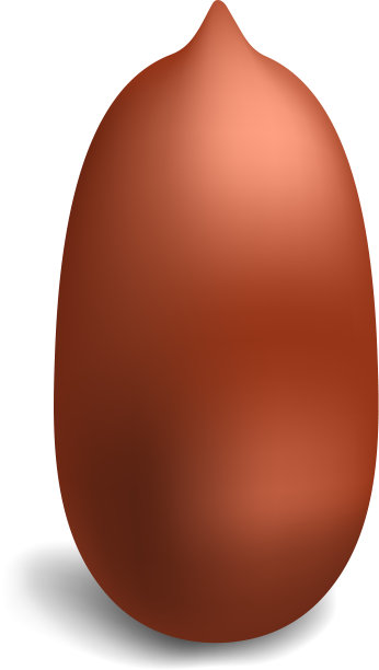 花生图标写实风格图片下载