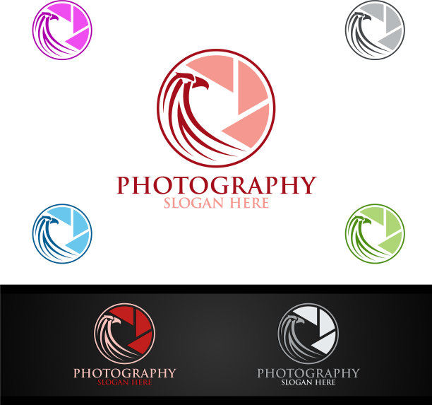 鹰相机摄影标志图片下载