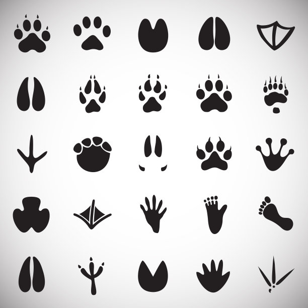 动物脚印图标设置在白色背景上图片下载