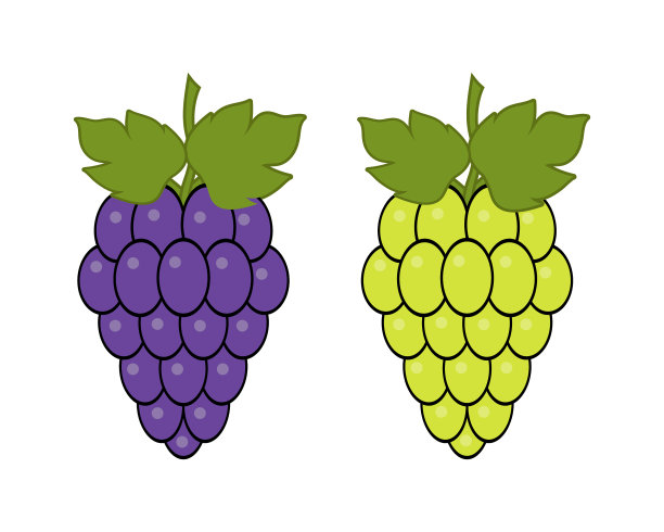 红色和绿色的葡萄在白色的背景葡萄图片下载