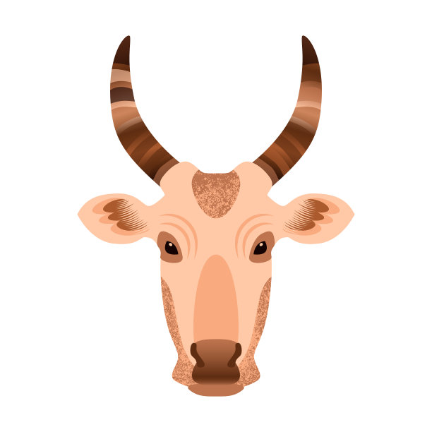 一头牛的垃圾纹理图片下载