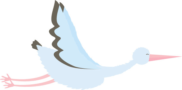 鹳鸟飞翔的性格图片下载