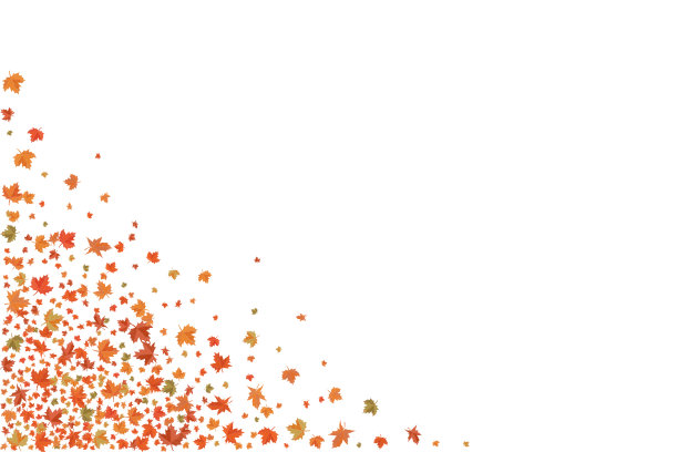 枫树叶模板。图片下载