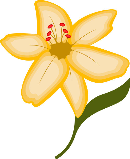 孤立的美丽的花图片下载