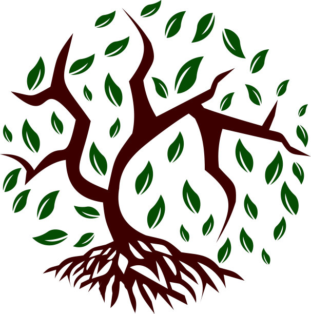 红树林的照片和图片下载