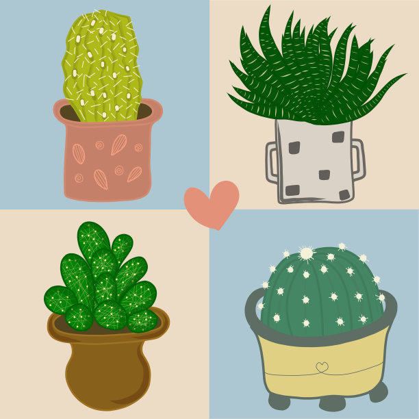 花盆里的仙人掌图片下载