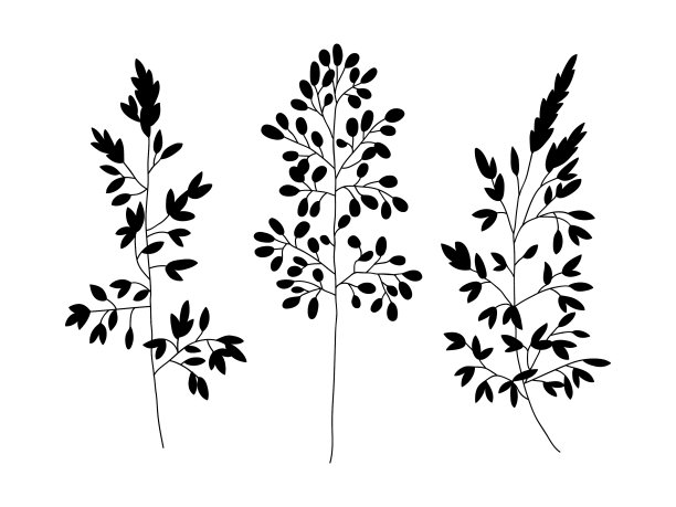 野生植物和草本植物设置剪影植物图片下载