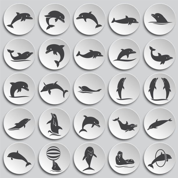 海豚图标设置在背景图形和图片下载
