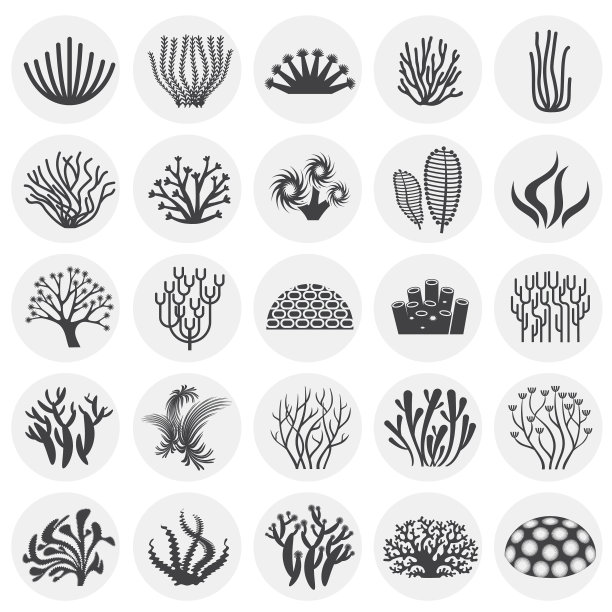 珊瑚图标设置为图形和网络背景图片下载