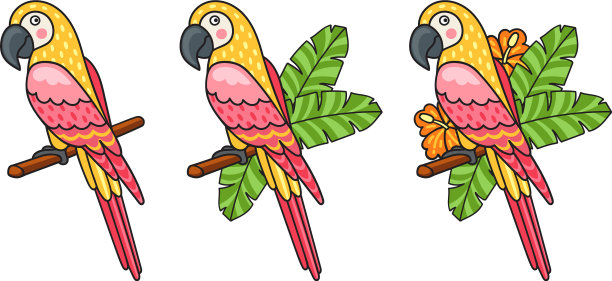 金刚鹦鹉设置美丽多彩的鹦鹉图片下载