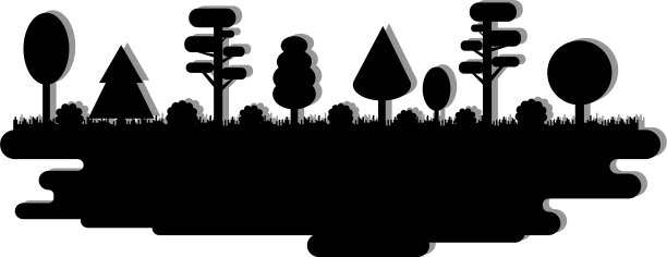 森林公园小巷与不同的黑色树木图片下载