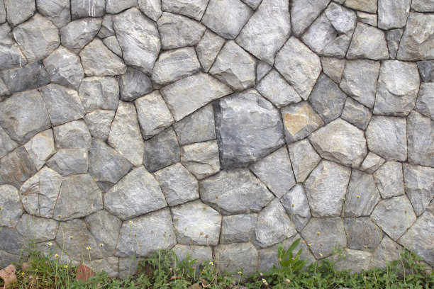 石头墙和绿色的草花图片下载