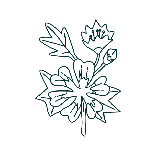 花叶设计模板图片下载