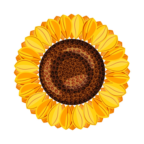 孤立对象向日葵和阳光标志图片下载