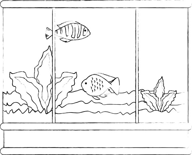 方形鱼缸与颜色鱼图片下载