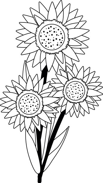 花向日葵卡通图片下载