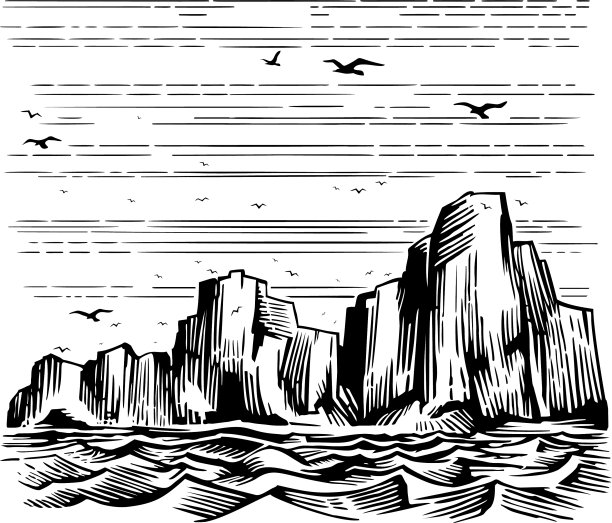 海崖和海鸥景观图片下载