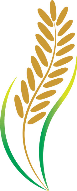 大米有机图标模板图片下载