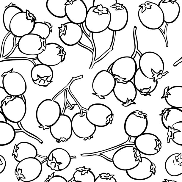 山楂果实模式图片下载