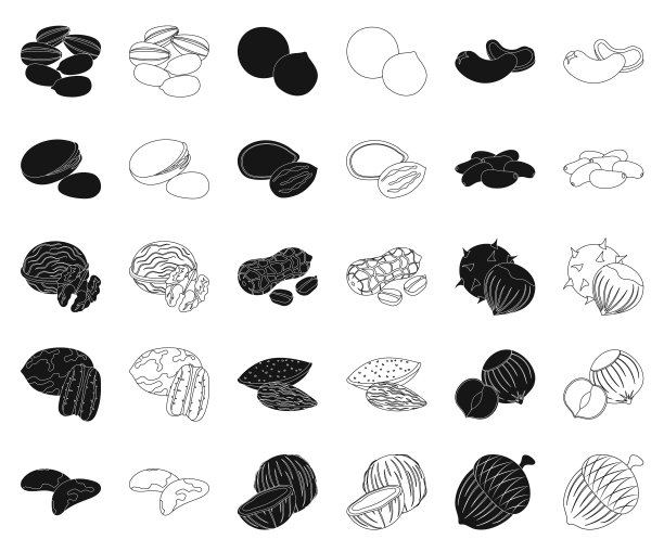 不同种类的坚果黑色轮廓图标设置图片下载