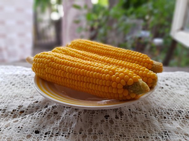 玉米图片下载