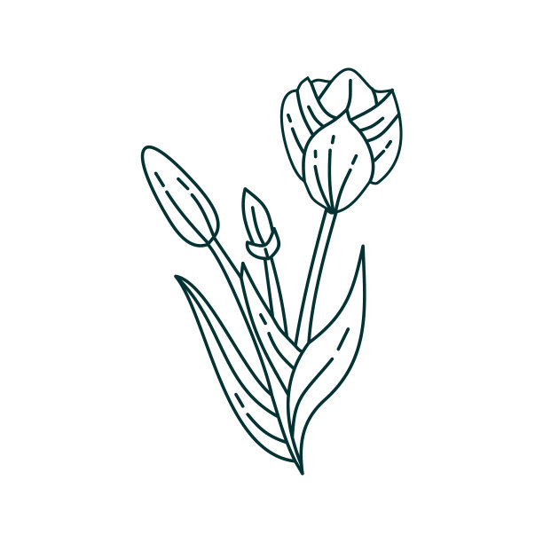 花叶设计模板图片下载