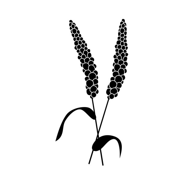 小麦穗黑色剪影图标有机图片下载