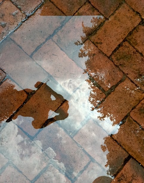 地面被雨水覆盖，许多红砖有阴影。水中的人可以作为背景。图片下载