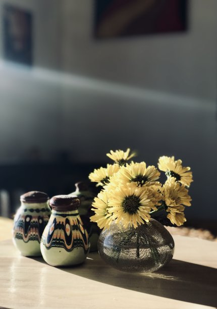 花瓶里的花沐浴在午后的阳光下图片下载