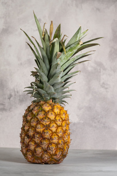 灰色背景上的菠萝图片下载